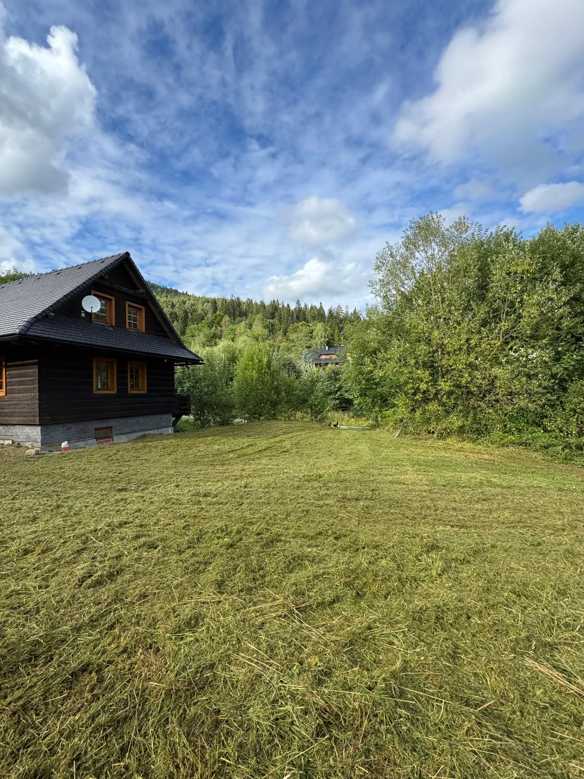 Pokosený pozemok pri drevenici po vyčistení – SkyBuild Žilinský kraj