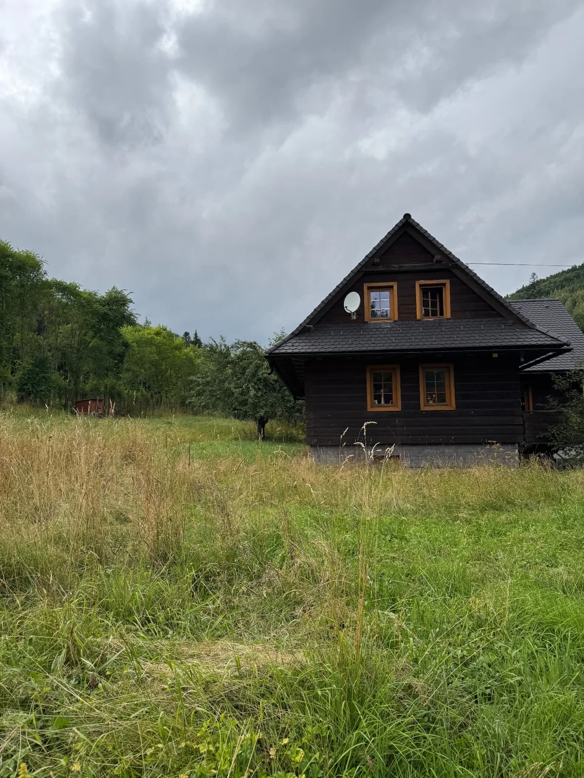 Kosenie a čistenie zarasteného pozemku – pred realizáciou, SkyBuild Žilina